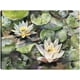 thumbnail image 1 of Cuadro Decorativo - flores de loto Jr  Impresión en canvas, estrechado., 1 of 1