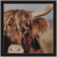 thumbnail image 4 of Kate and Laurel Framed Wall Art Print Nosy Highland by Laura Evans, 36 x 36, Manhattan Black Frame, Rustic Farmhouse, Animal Art for Wall Decor, 4 of 8