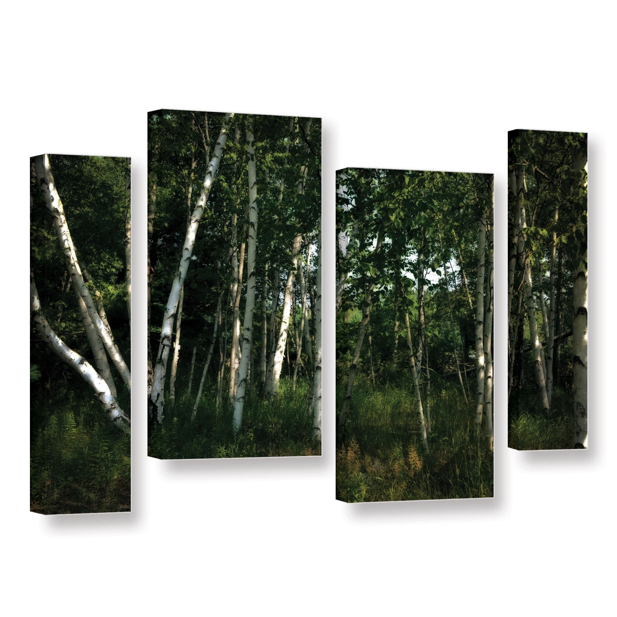 ArtWall Kevin Calkins "Birch Grove in Sunlight" 4-Piece Gallery-Wrapped Canvas Staggered Set