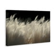 thumbnail image 4 of White Feathers Windblown Grasses Canvas Wall Art, design by Decent Exposures, 4 of 8