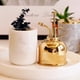 thumbnail image 3 of RUNROTOO Spray De Retro Dorado Para Herramienta De Jardinería Y Con Acabado Resistente A, 3 of 8