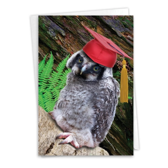1 Graduation Card with Envelope - Capped Creatures - Owl C6470BGDG