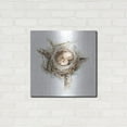 thumbnail image 3 of Luxe Metal Art 'Bird Nest Study I' by Ethan Harper, Metal Wall Art, 24"x24", 3 of 8