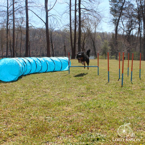 Lord Anson Dog Agility Set Dog Agility Equipment 1 Dog Tunnel, 6