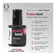 thumbnail image 3 of Protein Bond 10ml Organic Nails 2 Pzs, Frascos Negro, 3 of 5