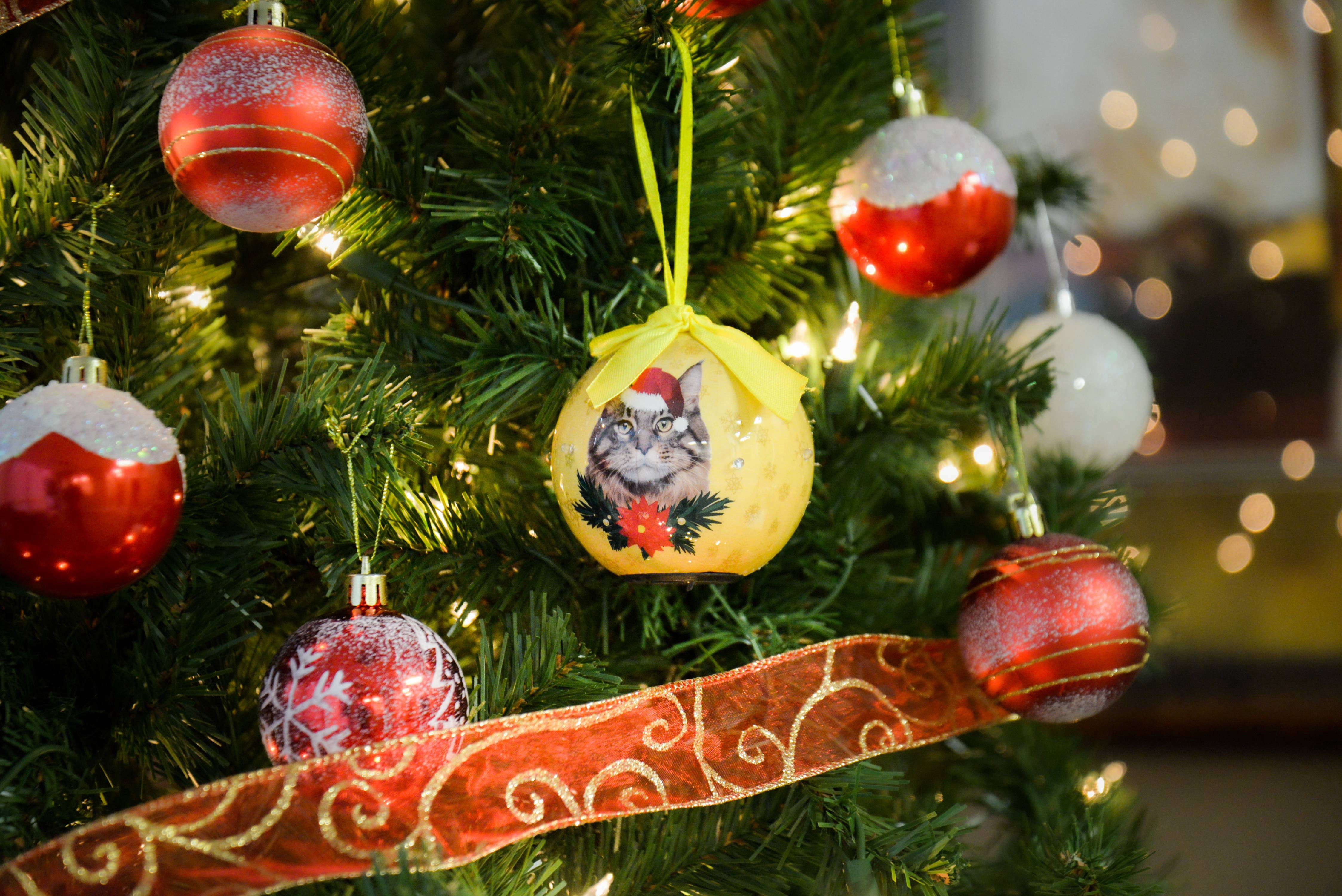 2019 Christmas Ball Ornaments Annual Edition with lights, Glittering Christmas Tree Pendants Decorative Hanging Christmas Dog Collection Balls for Holiday Party Indoor Outdoor Decoration