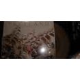 thumbnail image 2 of FRETLAND COULD HAVE LOVED YOU (LP/Vinyl), 2 of 2
