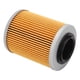thumbnail image 4 of Filtro de aceite de motor cilíndrico de repuesto para RYKER Ally Edition 900 ACE, 4 of 14