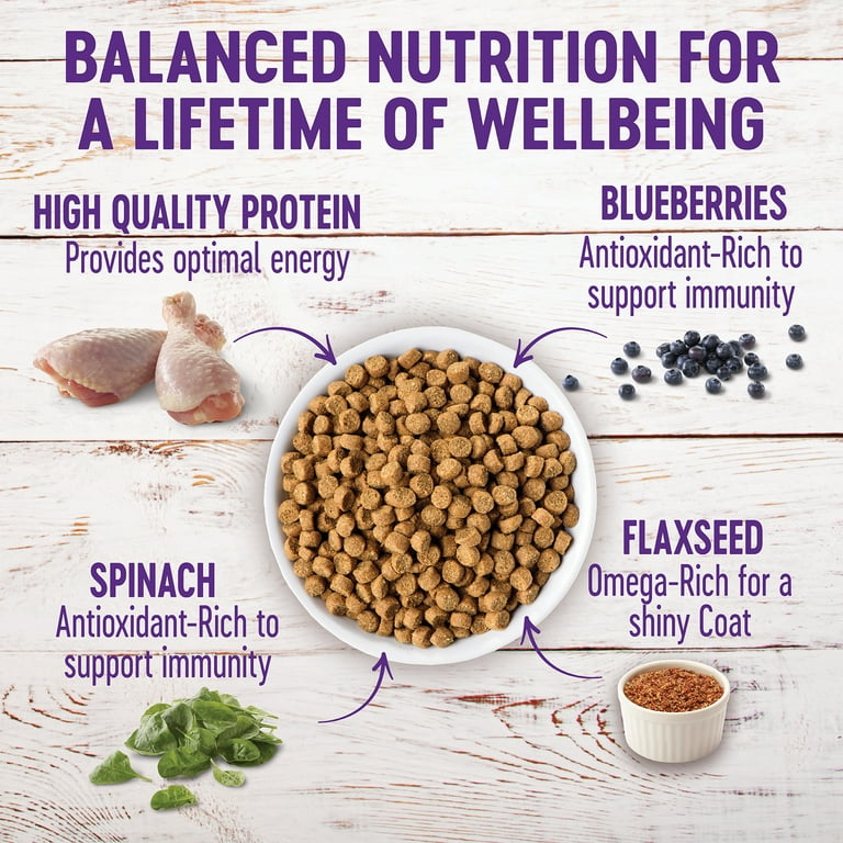 Wellness complete health natural top dry large breed puppy food
