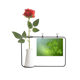 thumbnail image 1 of Four Leaf estrella el día de San Patricio de Irlanda Botella de decoración de jarrones colgantes de flores rosas artificiales, 1 of 3