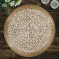 thumbnail image 6 of Decozen Beaded Placemats Round Set of 4 Dining Table Placemats for Home Decor, 14" - Gold White, 6 of 8