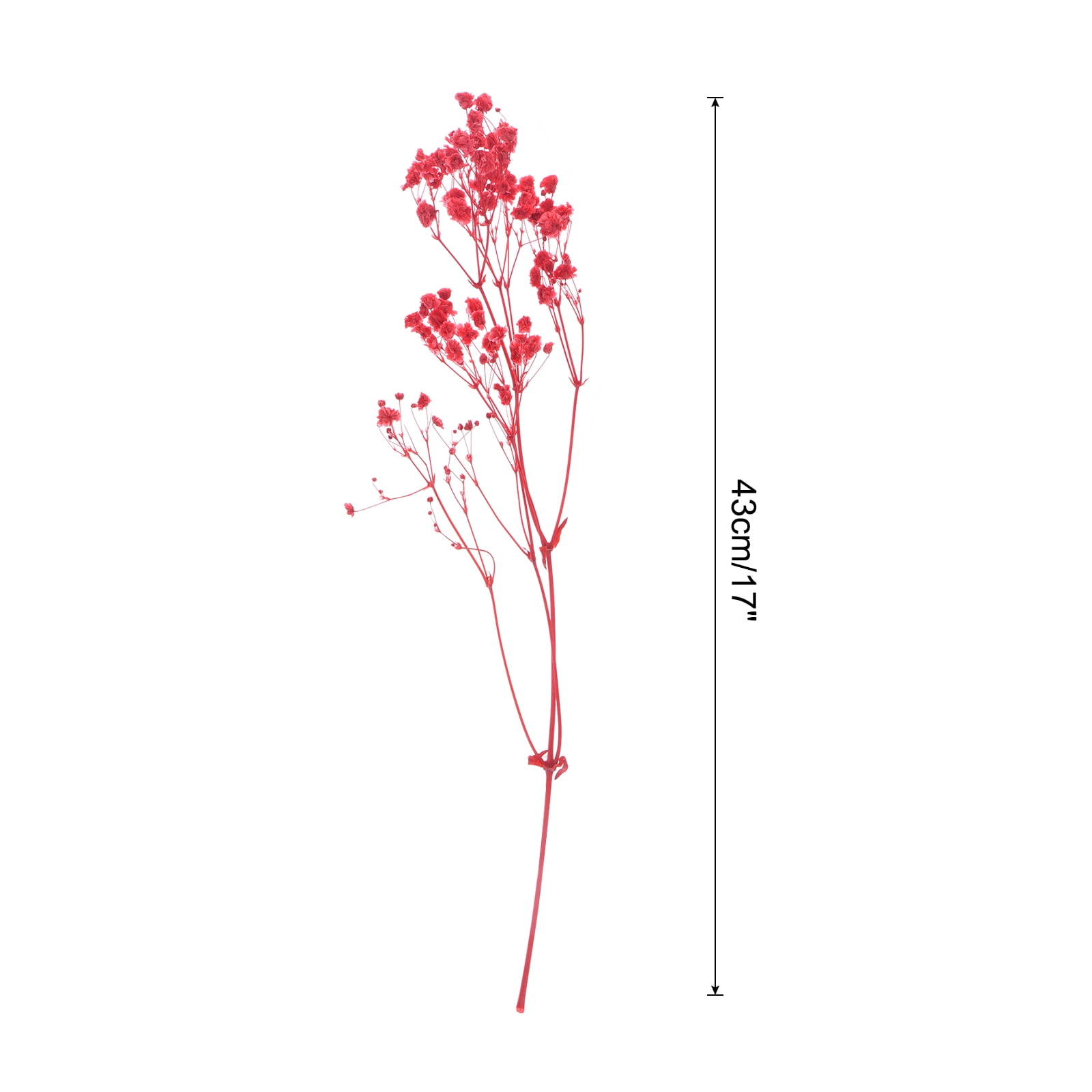 Uxcell Dried Baby's Breath Flowers 17 Inch Gypsophila Red Natural Baby's Breath Branches for Wedding Party Home Decoration 3 Pcs