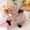 Coffee, variant on Coffee 9.8 Inch Coffee Simulation Wild Boar Plush Toy With Long Teeth Soft Stuffed Animal For Kids