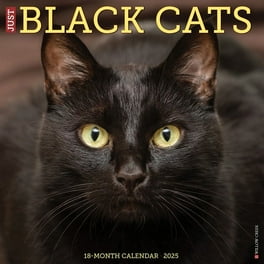 Dress up Your Kitty 2018 16 Month Calendar Includes