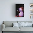 thumbnail image 3 of Canvas Wall Art - Samantha Hearn 'Disco Fever' Wall Art for Living Room, Bedroom, or Office D?cor by Trademark Fine Art - 16 x 24 Inches, 3 of 4