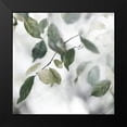 thumbnail image 2 of Weisz, Irene 12x12 Black Modern Framed Museum Art Print Titled - Quiet Green II, 2 of 5
