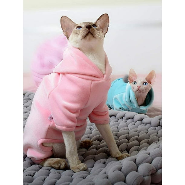 Devon rex clearance sweater