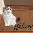 thumbnail image 4 of Tapete Lindas alfombras de entrada con letras de animalesfelpudos delanteros antideslizantes para interiores y exteriores (4) Ndcxsfigh Nuevos Originales, 4 of 7