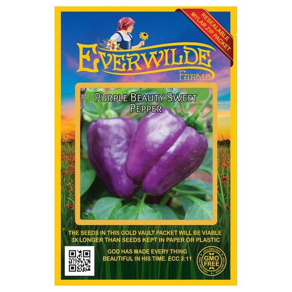 Everwilde Farms - 25 Purple Beauty Sweet Pepper Seeds - Gold Vault Seed Packet