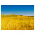 thumbnail image 2 of Tuscany Whet Field on Sunny Day - Landscape Artwork Canvas, 2 of 3