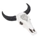 thumbnail image 2 of Decoración de pared Longhorn pulida pintada a mano, superficie firme, decoración de calavera de toro para decoración de fondo, 2 of 5