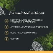 Burt?s Bees Fluoride Free, Charcoal, Zen Peppermint, 4.7oz