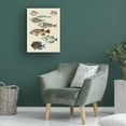 thumbnail image 3 of Trademark Fine Art Louis Renard  Renard Tropical Fish V Canvas Wall Art, 3 of 4