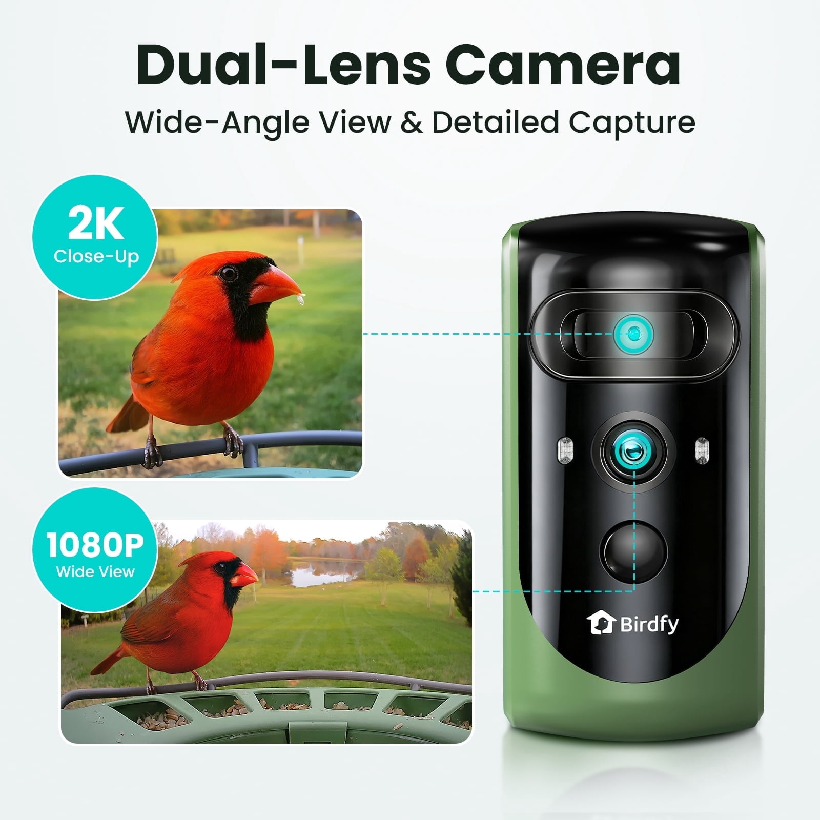 Birdfy Smart Bird Feeder with Camera, Dual-Lens, Solar-Powered, Auto-Capture Close-Ups & AI Identification with 99% Accuracy, Perfect Gift for Bird Lovers