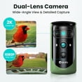 thumbnail image 6 of Birdfy Smart Bird Feeder with Camera, Dual-Lens, Solar-Powered, Auto-Capture Close-Ups & AI Identification with 99% Accuracy, Perfect Gift for Bird Lovers, 6 of 11