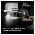 thumbnail image 3 of Commercial 3KW Steam Cleaner, Multifunctional Air Conditioning Kitchen Hood Car Steaming Cleaner, Sterilization Disinfector ,Efficient Cleaning, 3 of 5