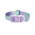thumbnail image 2 of Collier pour Chien en Nylon Tissé Ombre Violet 1 Pce, 2 of 5