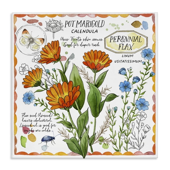 Stupell Industries French Country Country Herb Uses Canvas Art, 17 x 17, by Jane Maday