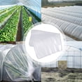 thumbnail image 4 of WEUVEB Película De Protección Para Plantas En Invernadero Con Material Pe Resistente Y Fácil De Cortar, 4 of 8