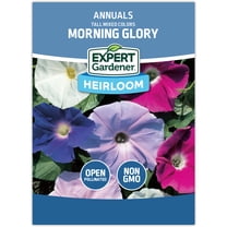 Expert Gardener Tall Mixed Colors Morning Glory Flower
