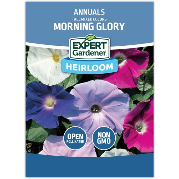 Expert Gardener Tall Mixed Colors Morning Glory Flower