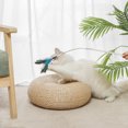 thumbnail image 3 of Fausse Feather Cat Wand Star Fun Cat Teaser Wand Kitten Interactive Toy avec Bell, 3 of 10