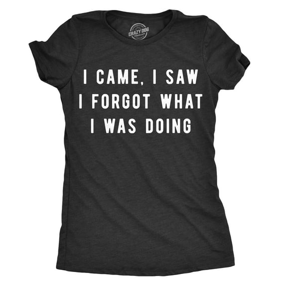 Womens I Came I Saw I Forgot What I Was Doing T Shirt Funny Sarcastic Tee for Ladies Womens Graphic Tees