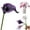 Dark Purple, variant on Yunrong Calla Artificial Flowers Produces Artificial Flowers for Home and Wedding Decoration,Artificial Flower Yunrong Calla Artificial Flower Manufacturer for Home Decoration and Wedding