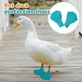 thumbnail image 4 of Cole Duck Foot Protective Boots, 1 Pair Size L Foot Coverings For Poultry Feet Protection, Duck Footwear For Daily Care, Safety, And Hygiene In Use For Cole Ducks, 4 of 5