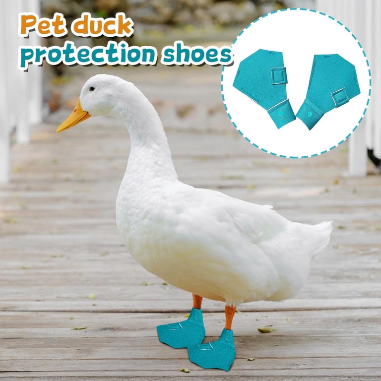 Duck Feet Boots