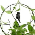 thumbnail image 3 of Plants Climbing Holder Rack Potted Flower Support Plant Support Potted Decorative Rack Sturdy Durable Plant Support, 3 of 9