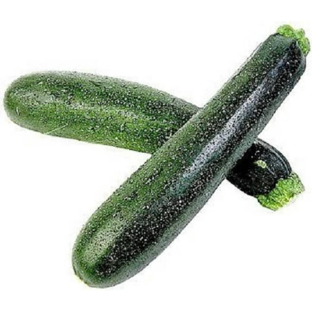 50 BLACK BEAUTY ZUCCHINI Summer Squash Cucurbita Pepo Vegetable Seeds