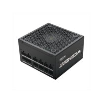 Super Flower Combat FG 850W 80  Gold, Full Modular, ATX 3.1 / PCIe 5.0, W/12V-2x6 Cable (2x8pin - 16pin native cables) , Power Supply, FDB Fan, SF-850C12FG, Black version