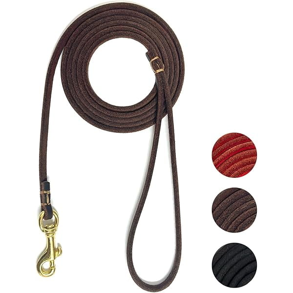 wonima02 Leather Dog Leash 6 ft x 1/4 inch,Thin and Lightweight Leather Leashes for Small Dogs,Leather Cat Leashes for Small Cats,Soft Genuine Leather Dog Training Leashes for Petite Dogs Brown