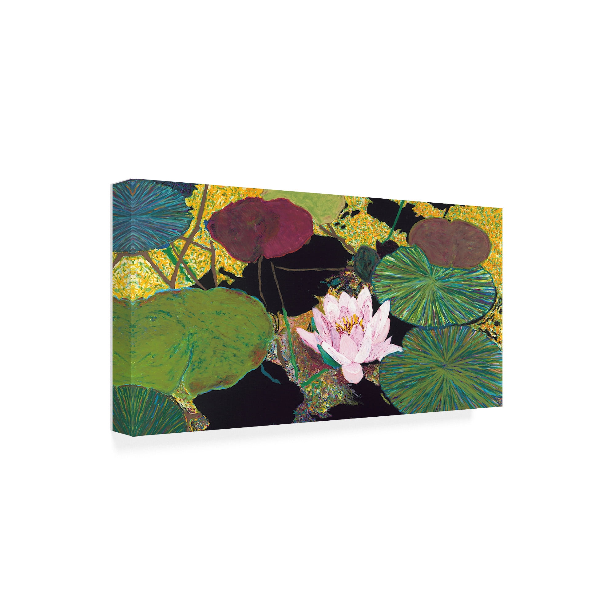 Trademark Fine Art 'Steamy Pond' Canvas Art by Allan Friedlander