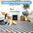 thumbnail image 3 of CozyDesg Large Rugs,4'x6' Soft Fluffy Shag Indoor Floor Carpet for Living Room Bedroom Dining Room Office Home Decor,Dark Gray & White, 3 of 7