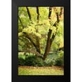 thumbnail image 2 of Geyman, Vitaly 13x18 Black Modern Framed Museum Art Print Titled - Fall Abundance II, 2 of 5