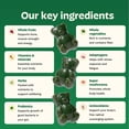 thumbnail image 6 of Gruns Adult Superfood Greens Gummies, with 60 Organic Ingredients, 21+ Vitamins & Minerals, Prebiotics and Fiber for Digestion, Adaptogens, Spirulina & Chlorella, 12 Servings, 6 of 11