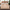 Coffee, variant on Soft Fiber King Mattress Topper, Extra Thick Mattress Pad Cover for Bedroom, Cooling Breathable Pillow Top Protector