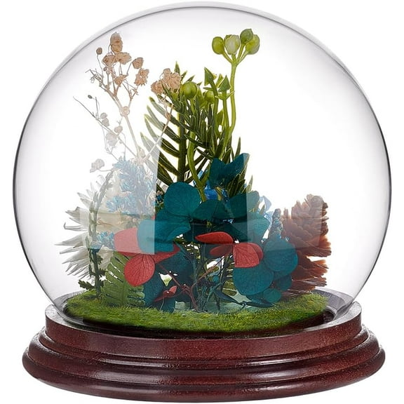 4.5x4.4 Cloche Glass Dome Display Clear Dome with Base Mini Display Case Vintage Style Centerpiece Stand Bell Jar for Watch Jewellry Miniatures Figurines Display